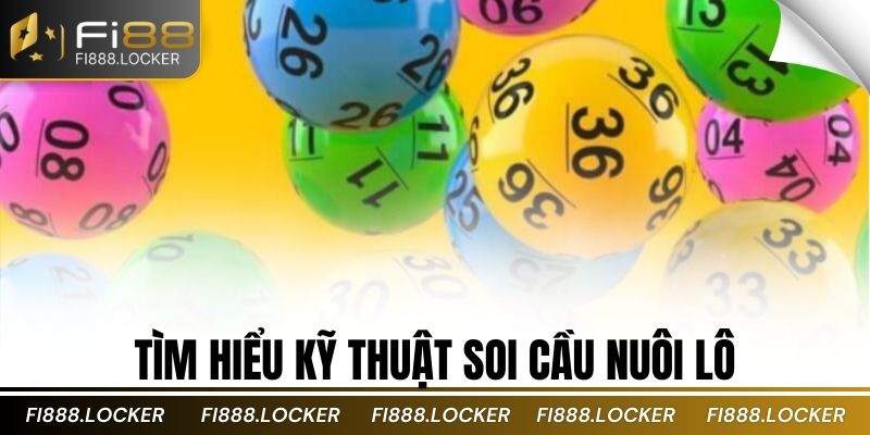 tìm hiểu kỹ thuật soi cầu nuôi lô